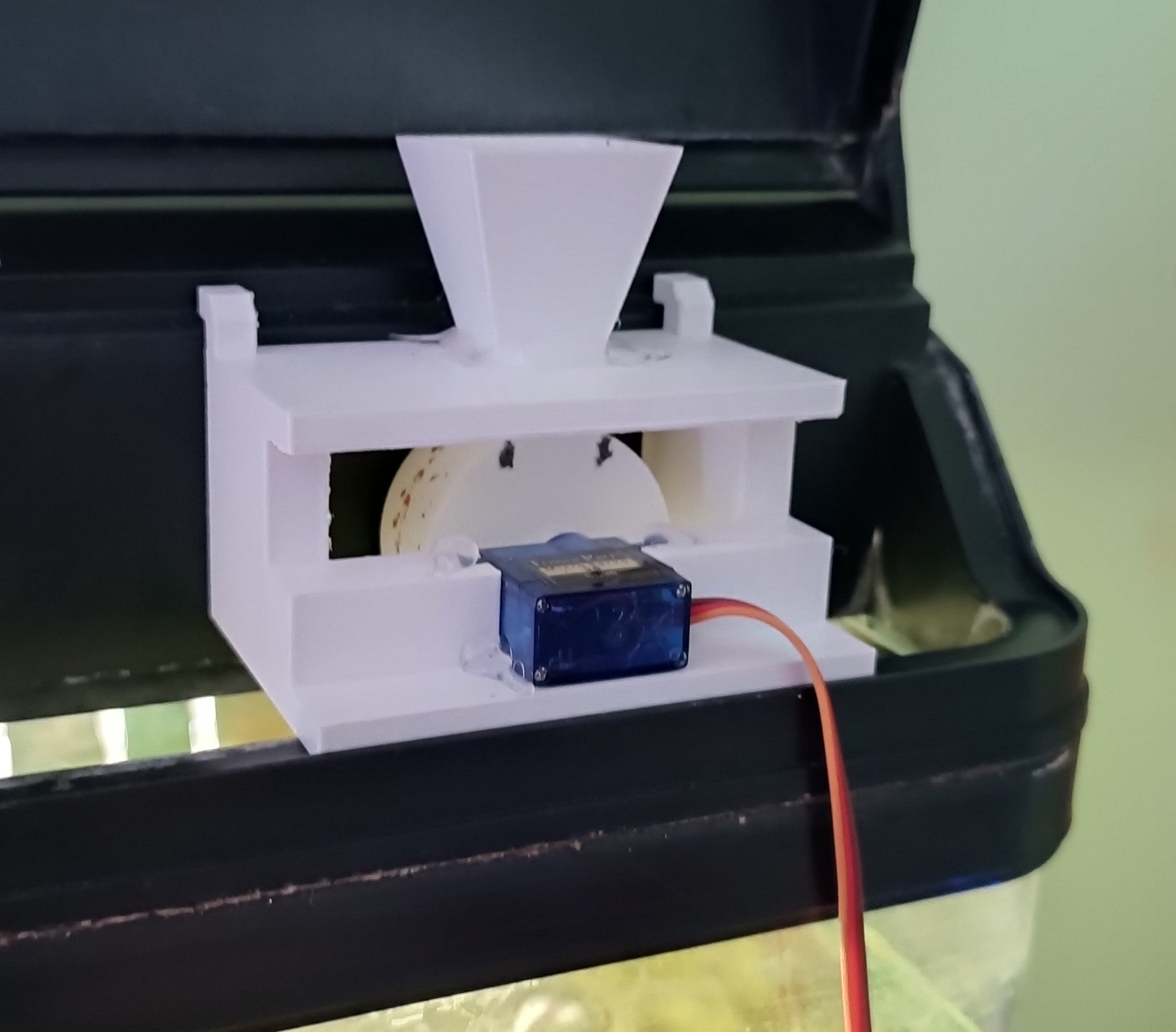 Automatic fish feeder