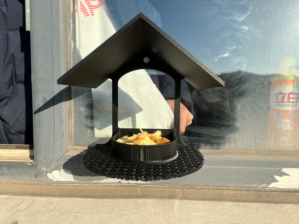 window bird feeder 窗外喂鸟的