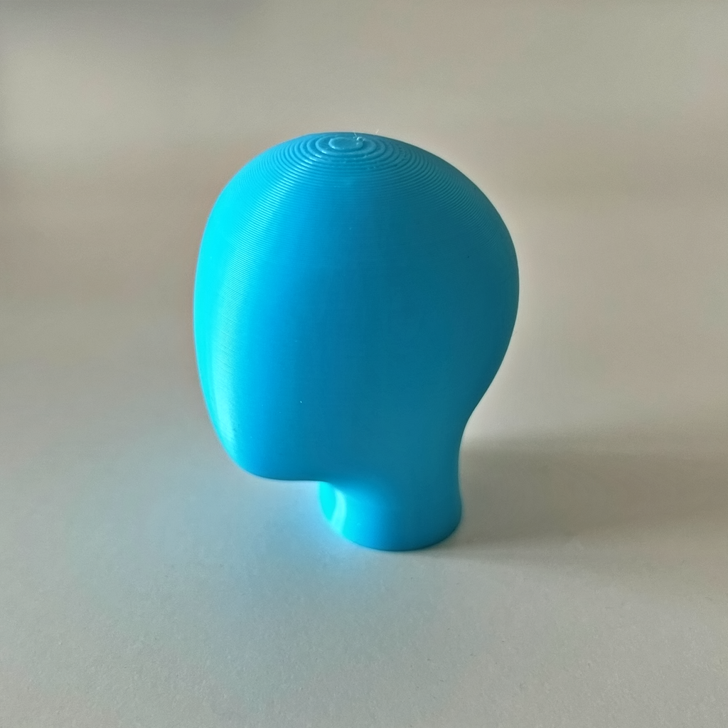 Free Mannequin Head