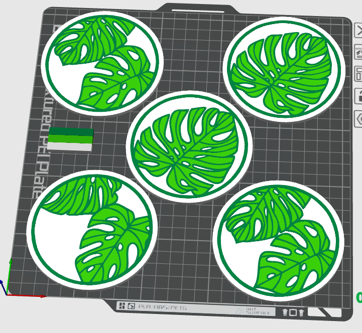 Monstera Coasters