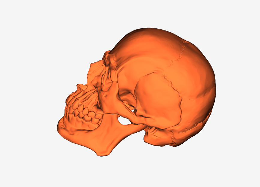 Halloween Skull