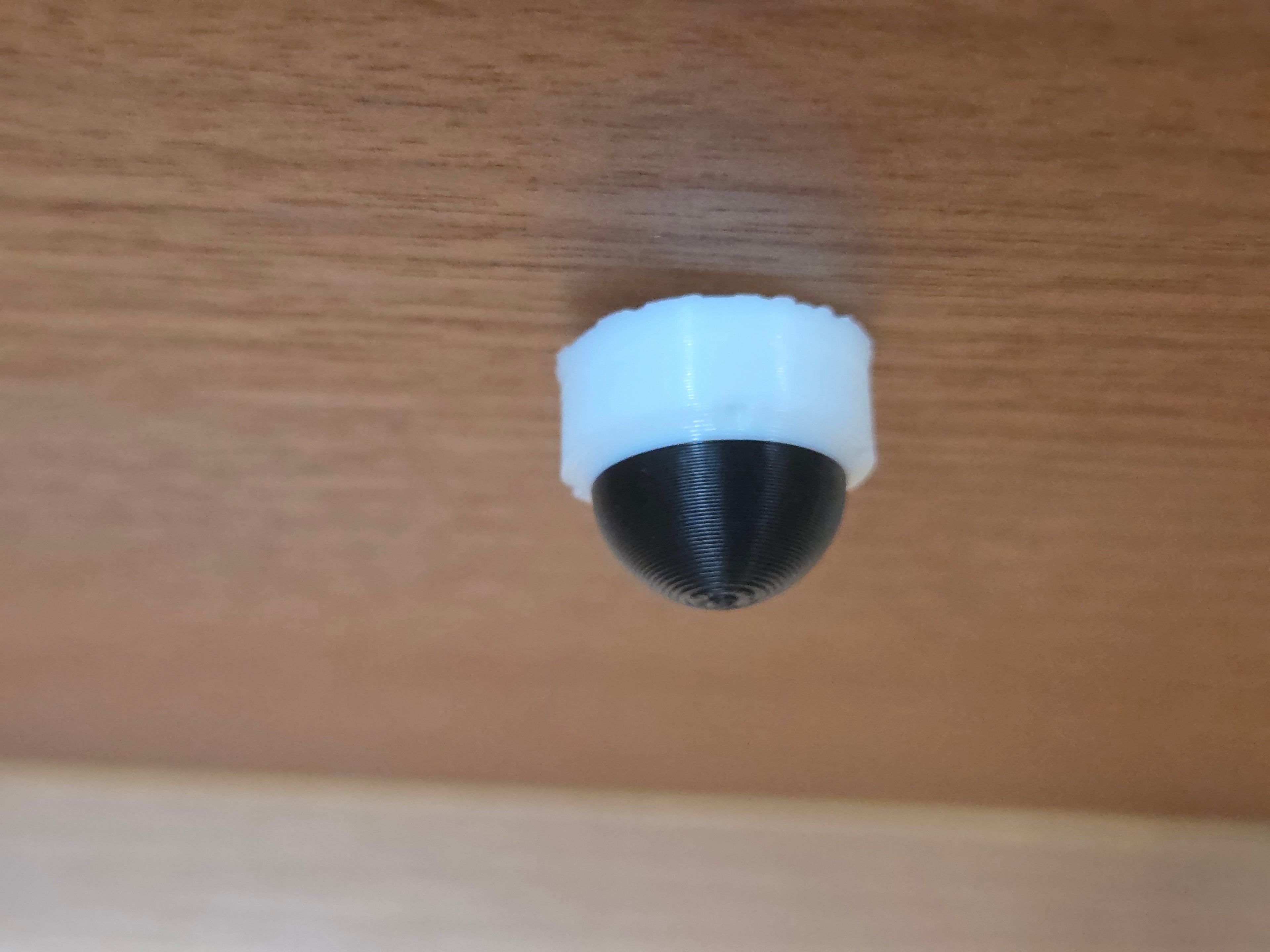 Fake Dome Camera