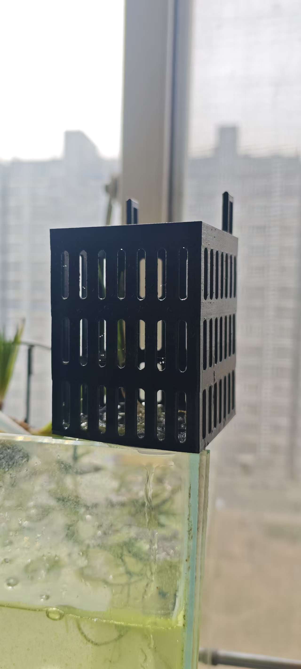 水培篮