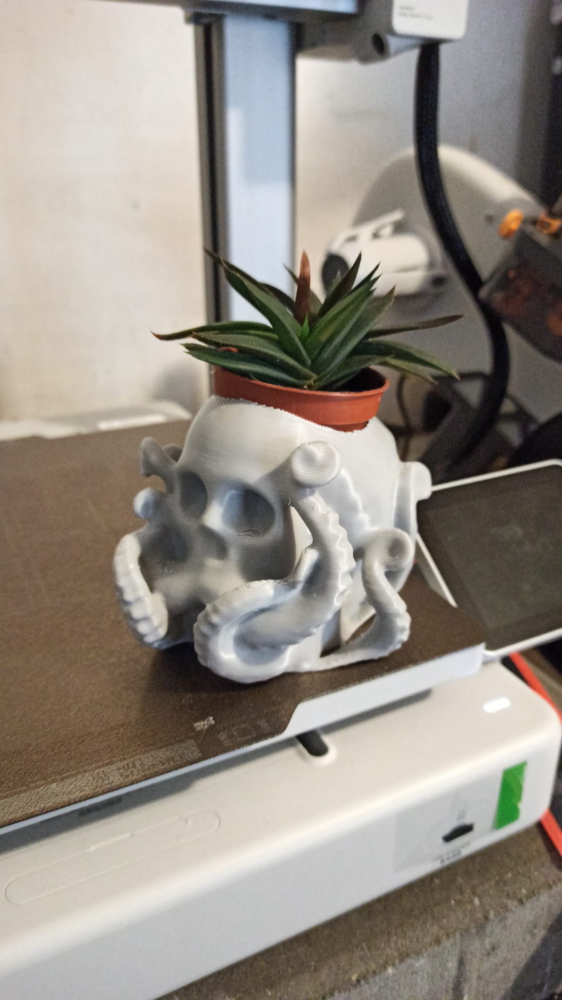 Octo Skull Mini Succulent Planter