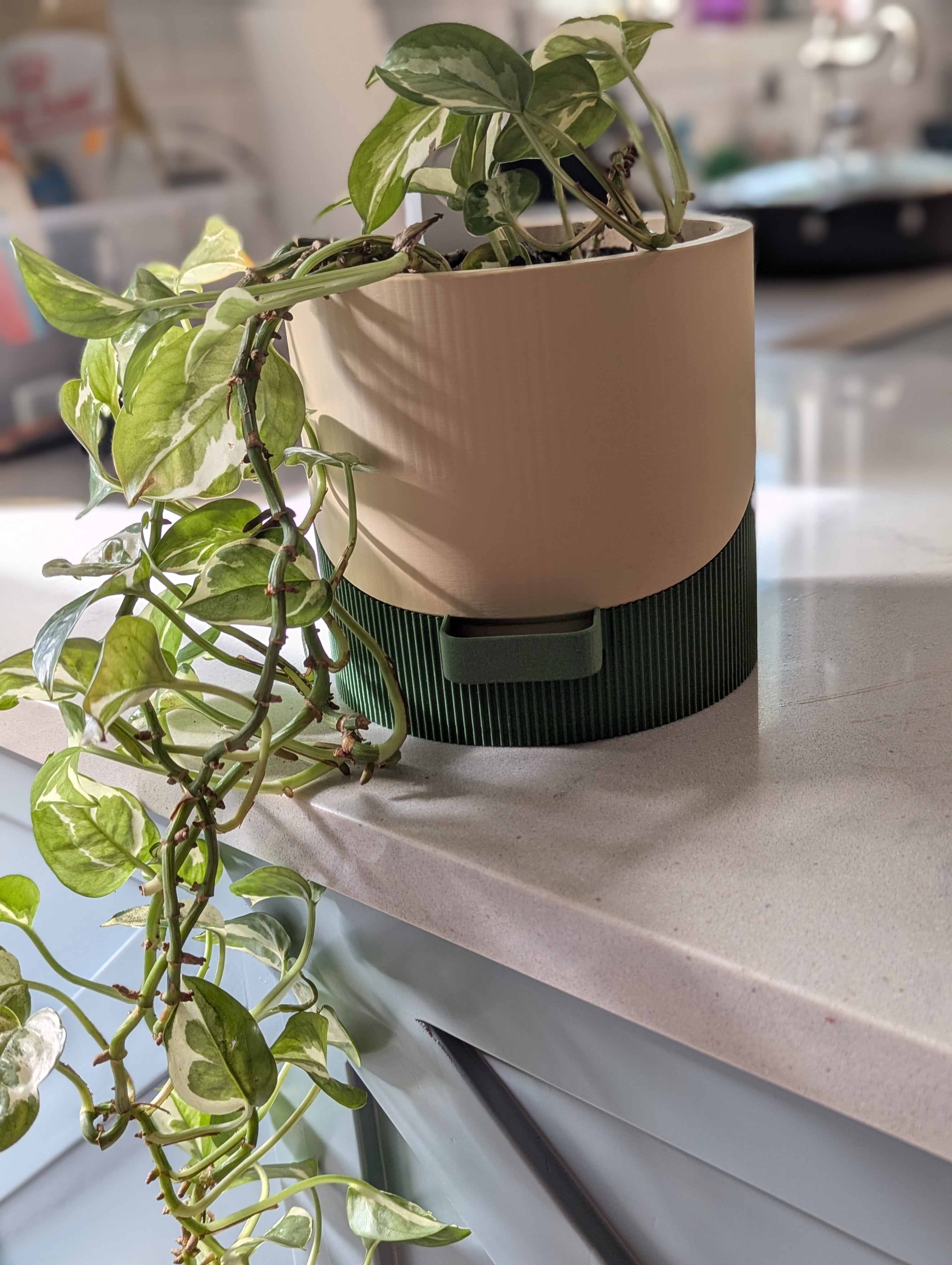 Bottom Watering Indoor Plant Pot