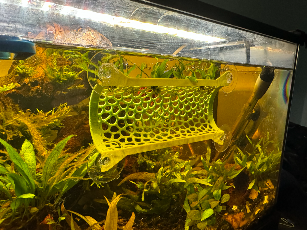 Betta Fish Tunnel Tank Mountable