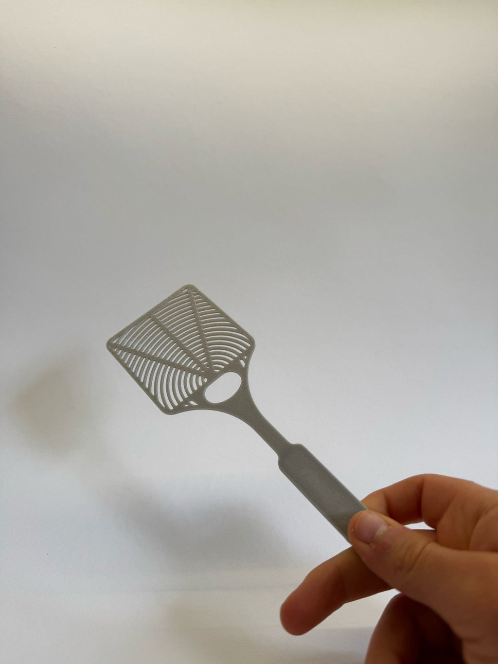 Fly Swatter