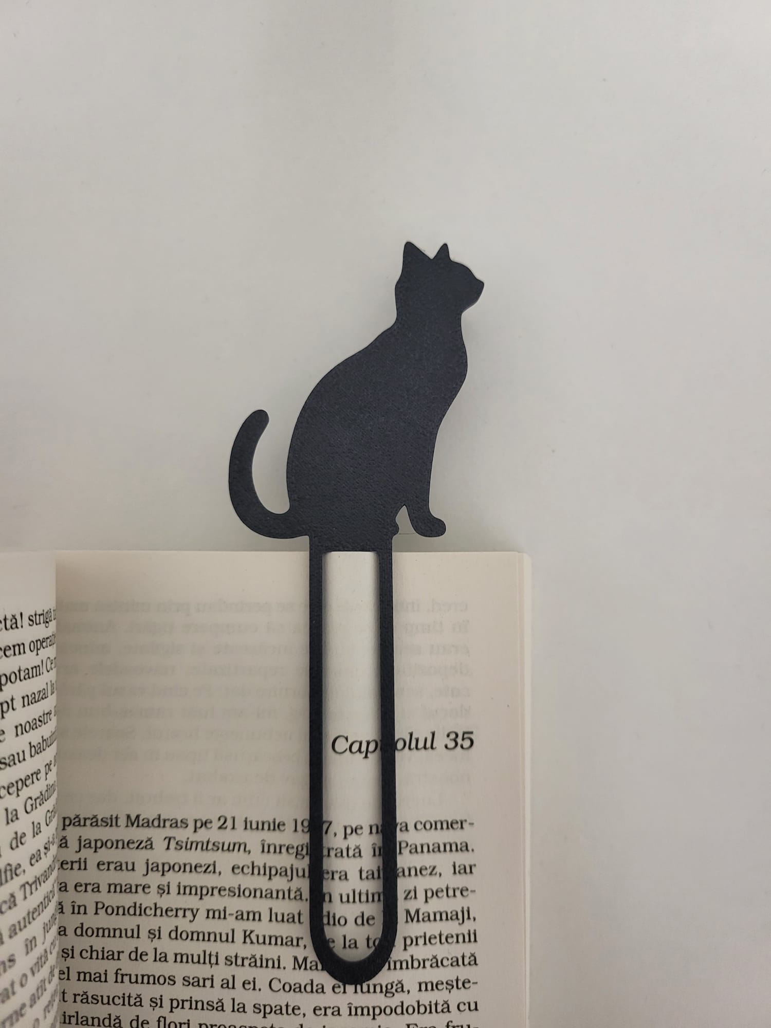 Cat bookmark