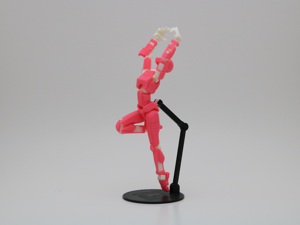 Dummy 13 - feminine torso