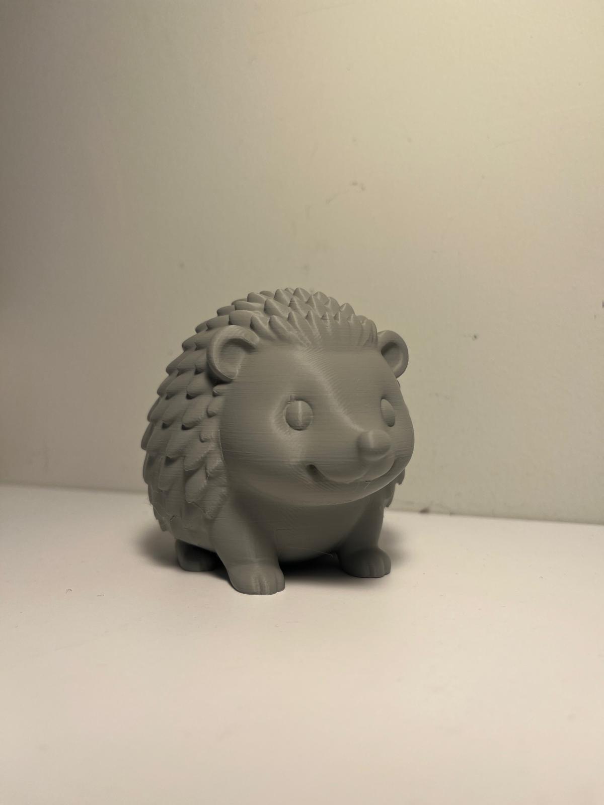 Hedgehog Buddy
