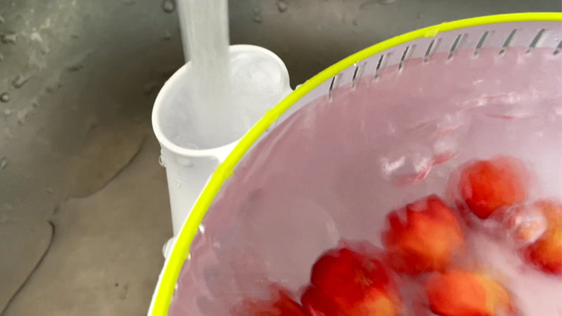 Vortex Fruit Washer (Size L)