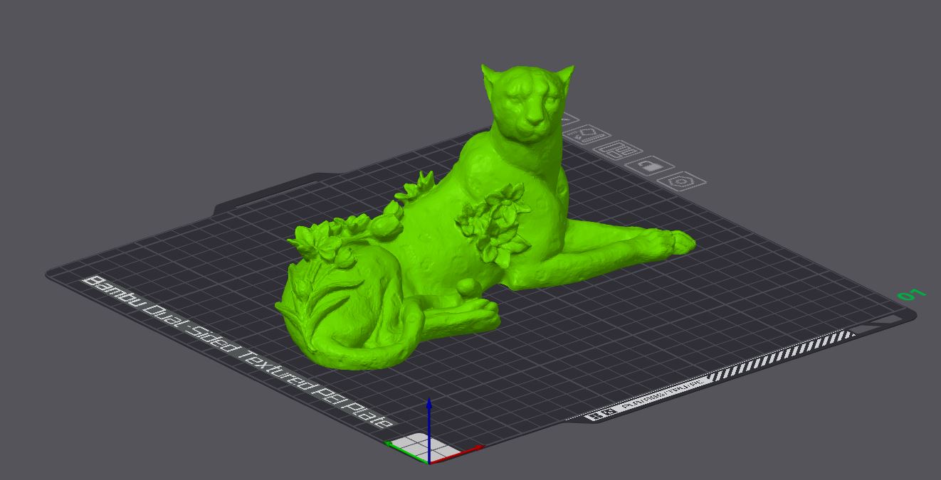 Flowers on a Cheetah