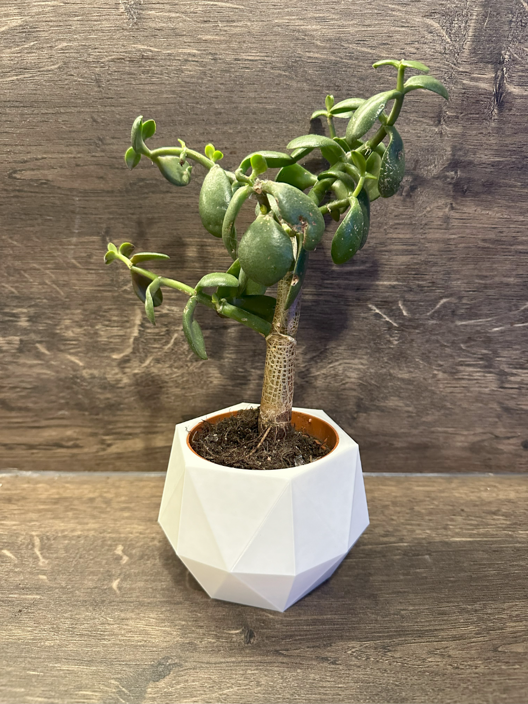 Plant Pot "Modern"