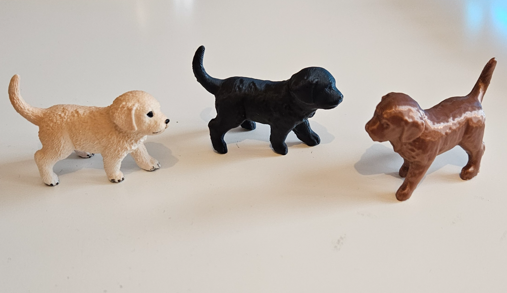 kleiner Hund - little Dog