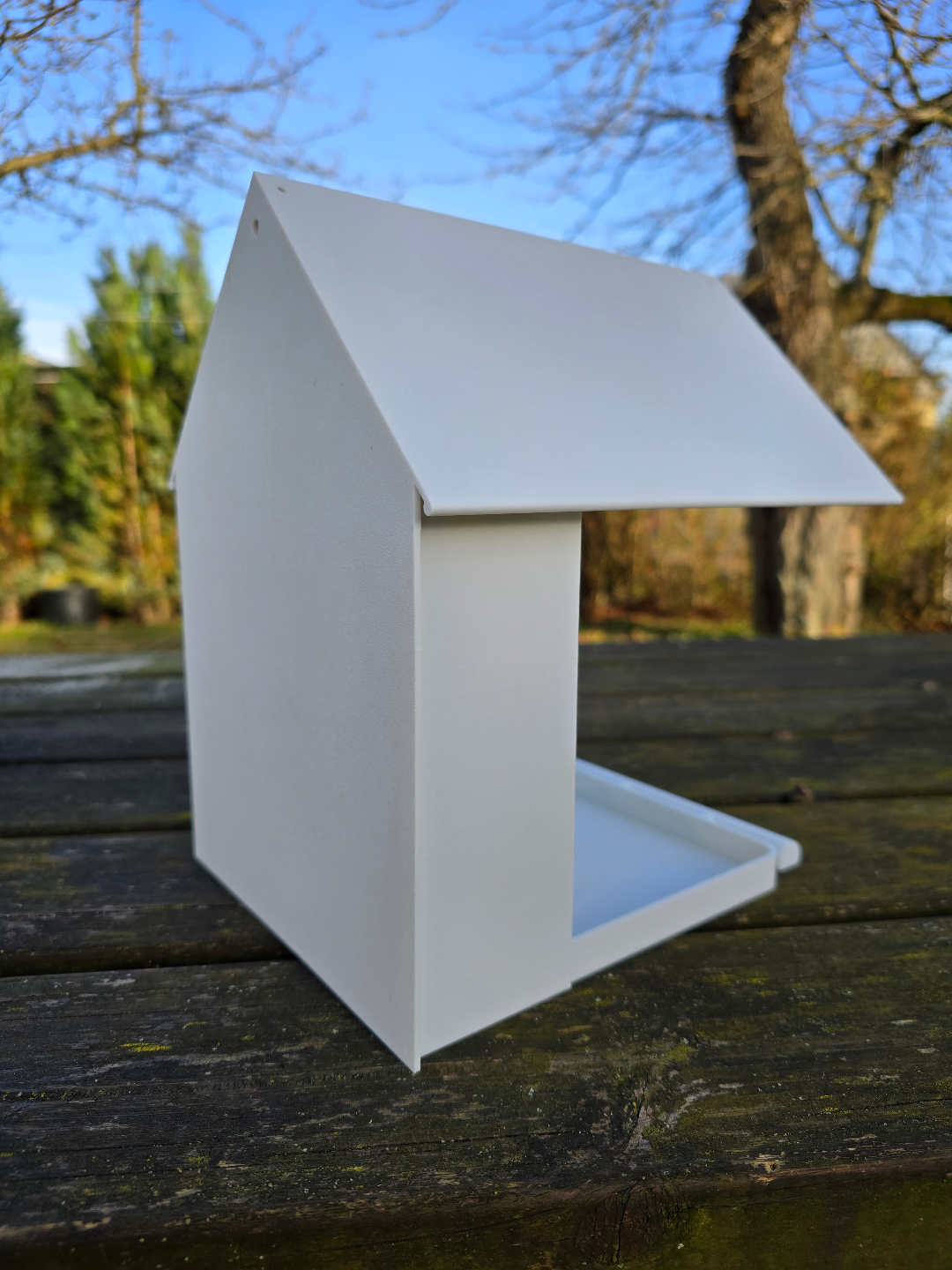 Bird feeder with Camera