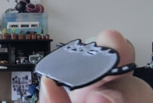 pusheen cat