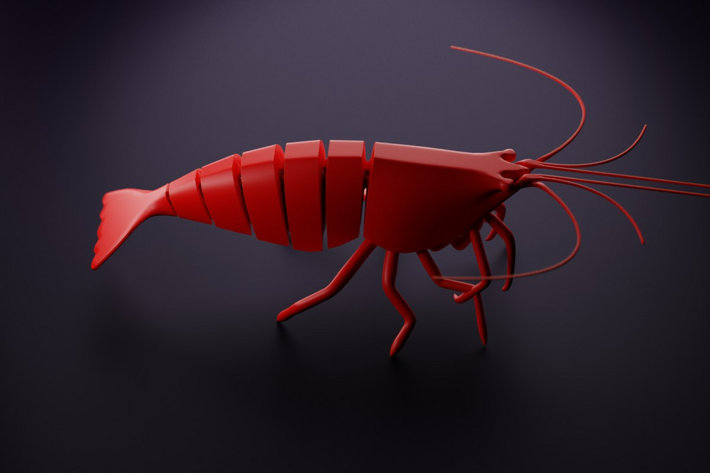 Articulated Shrimp