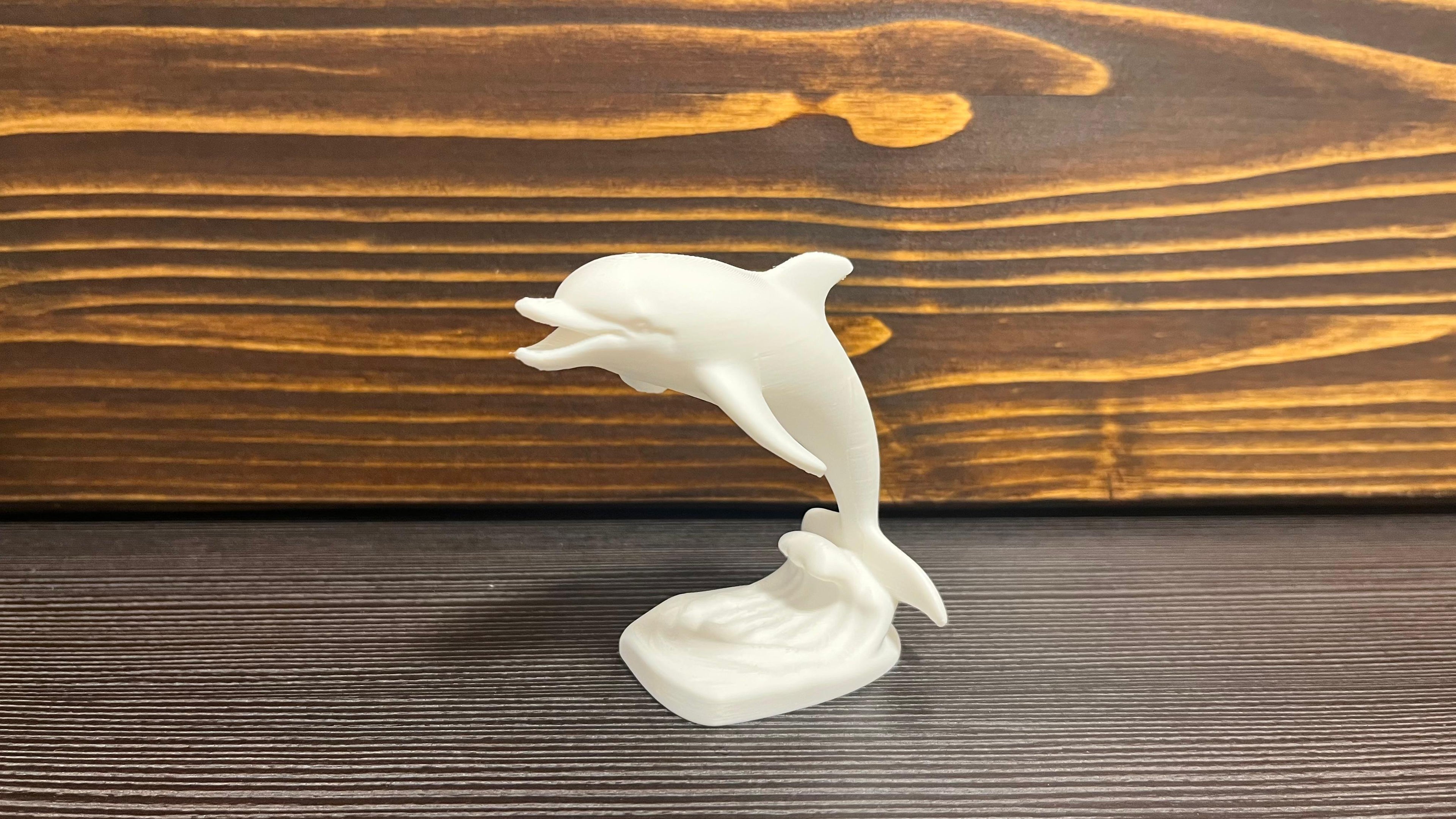 Jumping dolphin on a wave