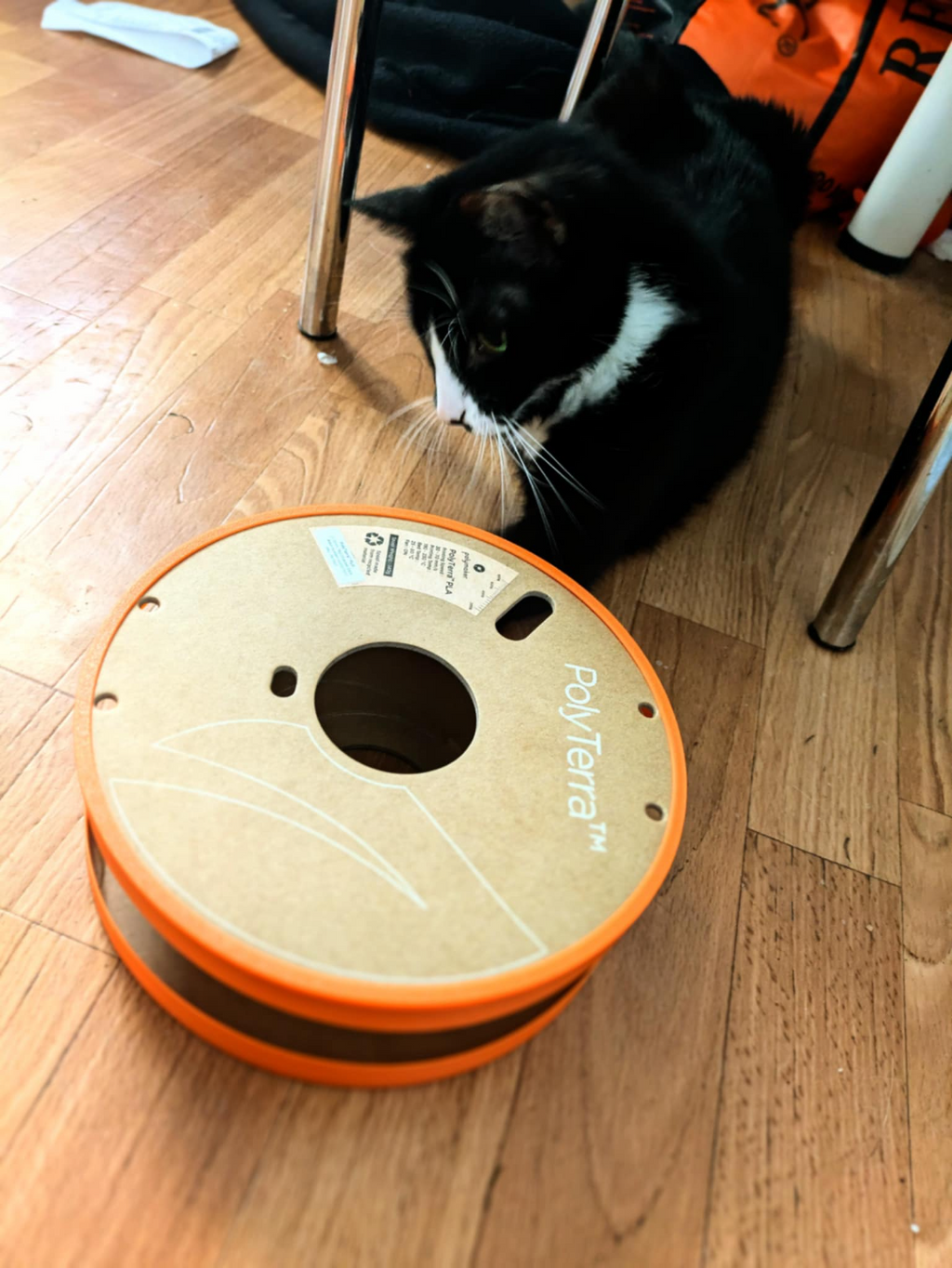 Cardboard Spool Cat Toy