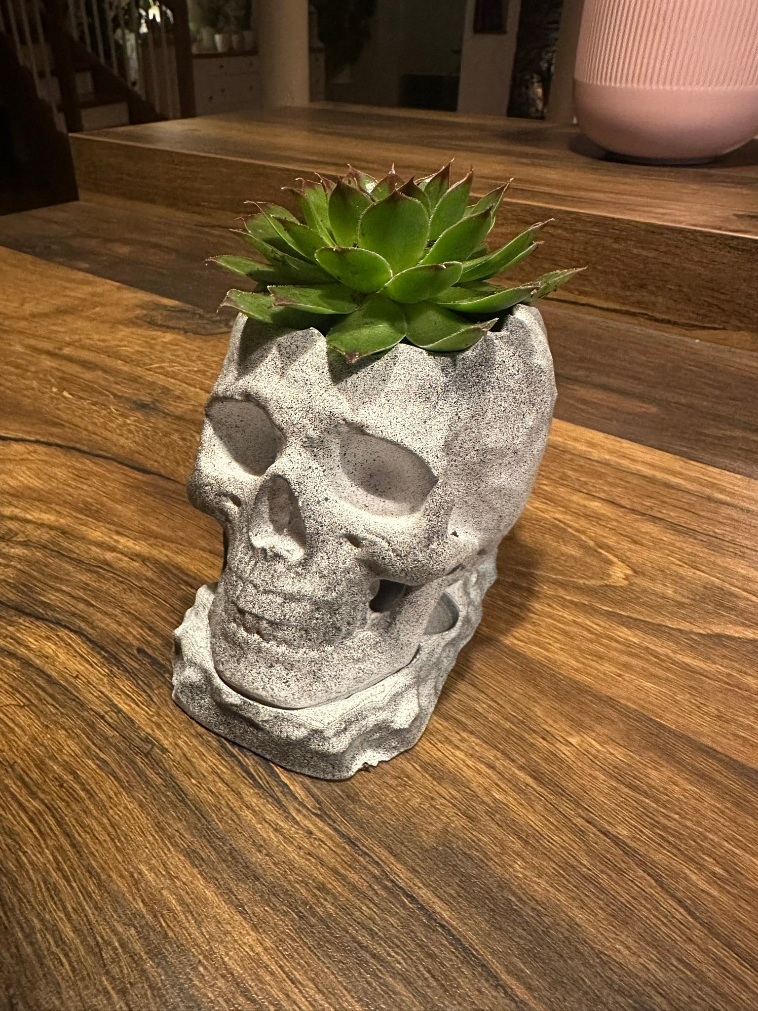 Kleiner Schädel topf mit Tropfschale, Skull Pot