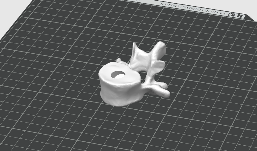 Vertebrae Pen Pencil Holder