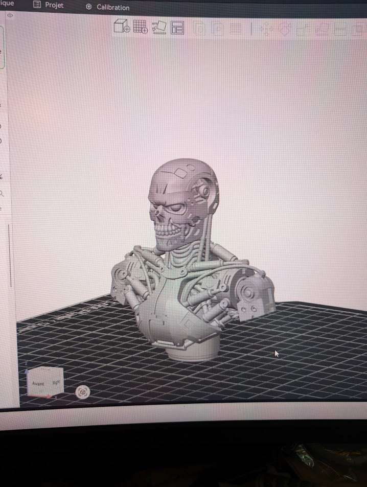 buste terminator