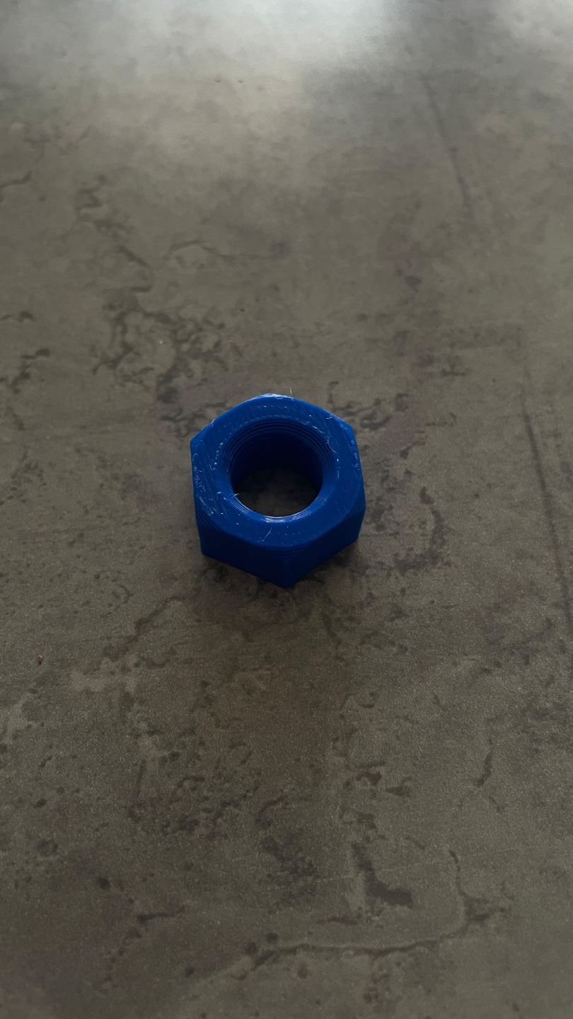 Hex Nut