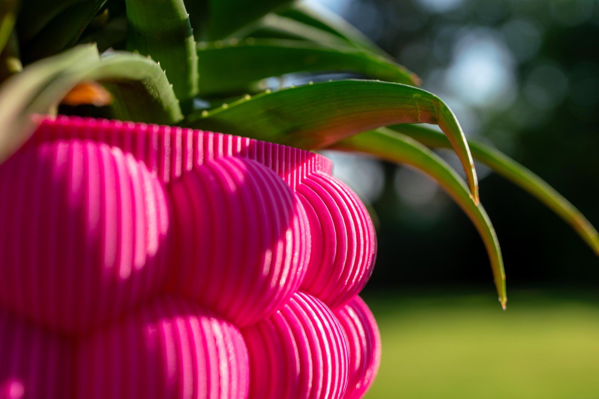 Bubbly vase