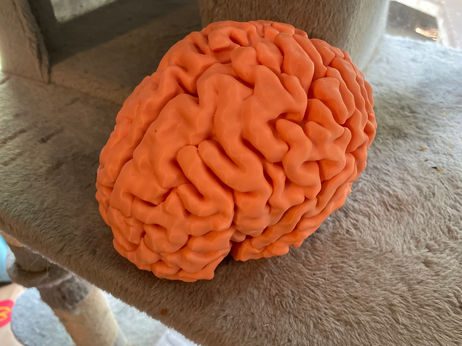 3D printable full-sized brain