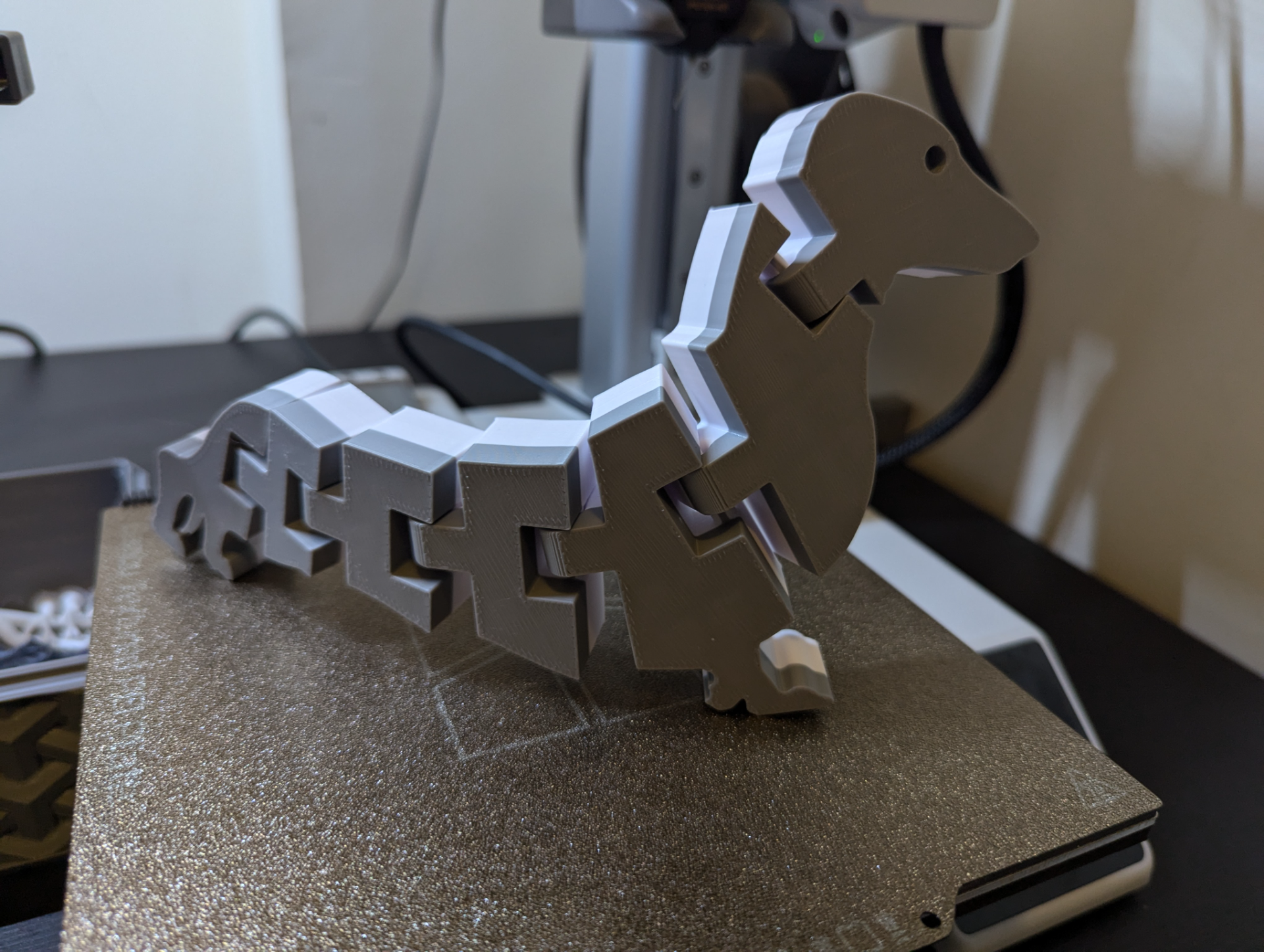 Flexi Dog |Dachshund|