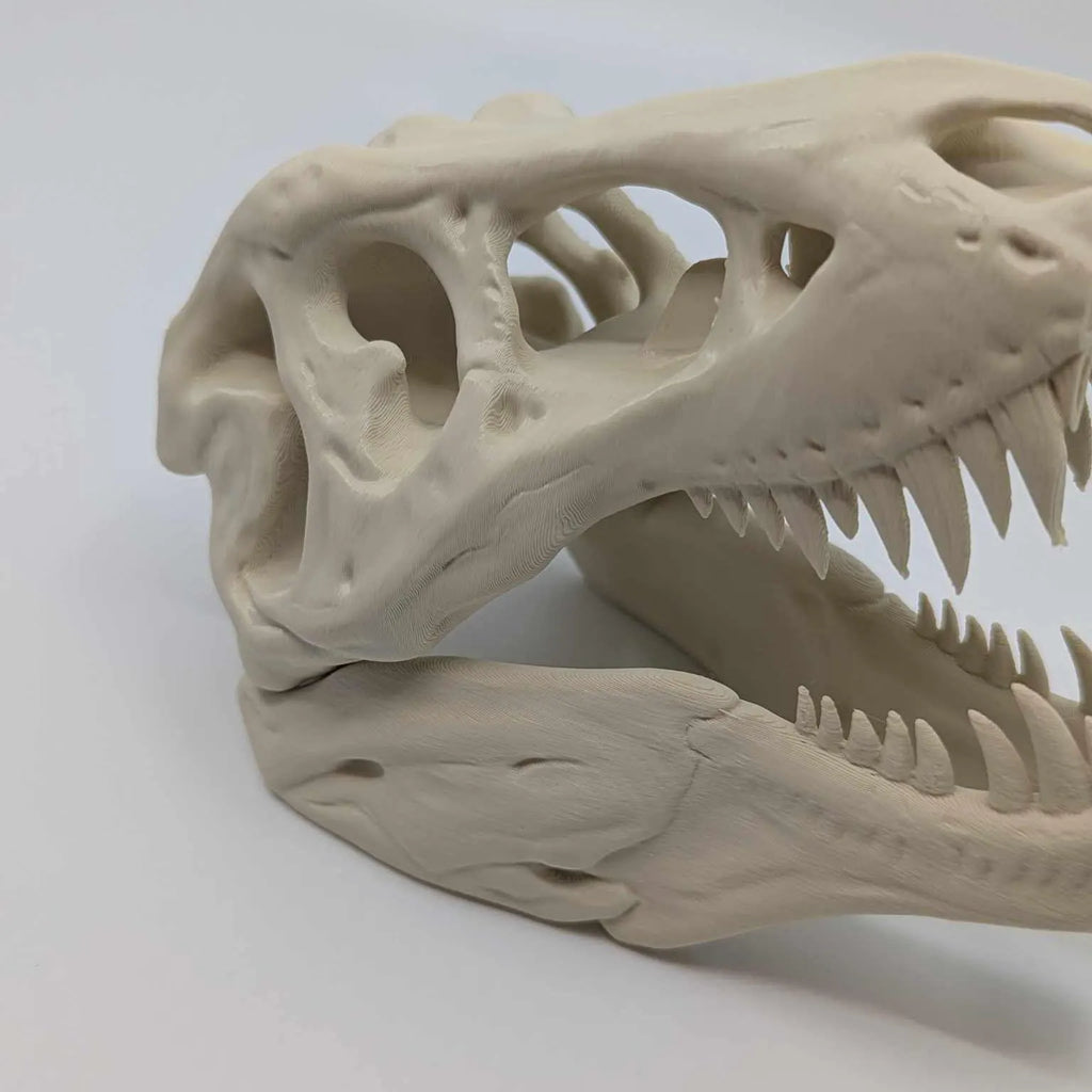 The T-Rex Skull Reptile, Arachnid, Snake Hide