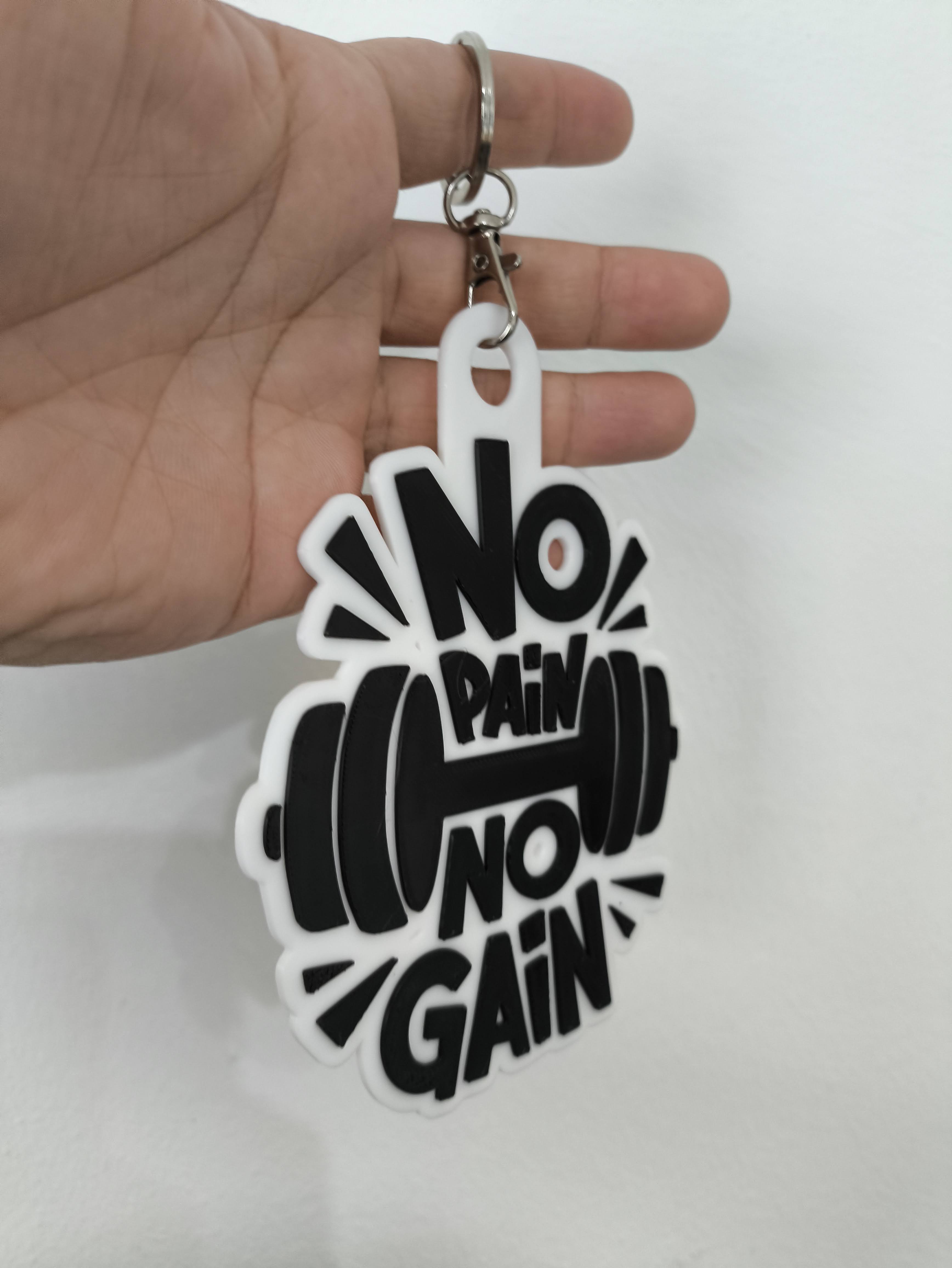 Keychain No pain no gain