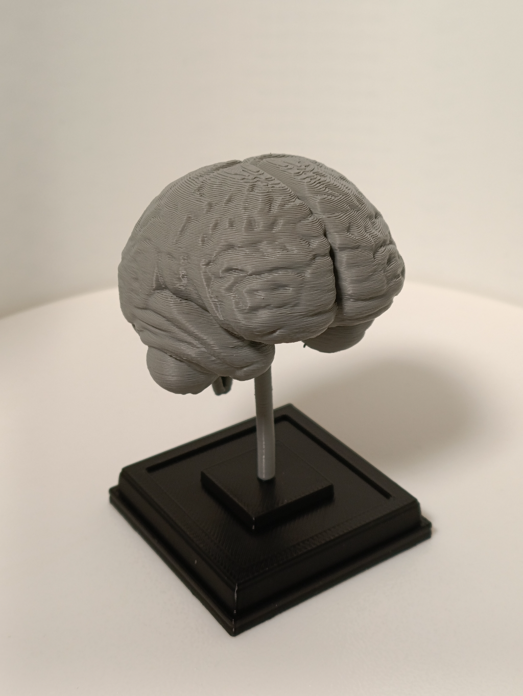 Brain on a stand