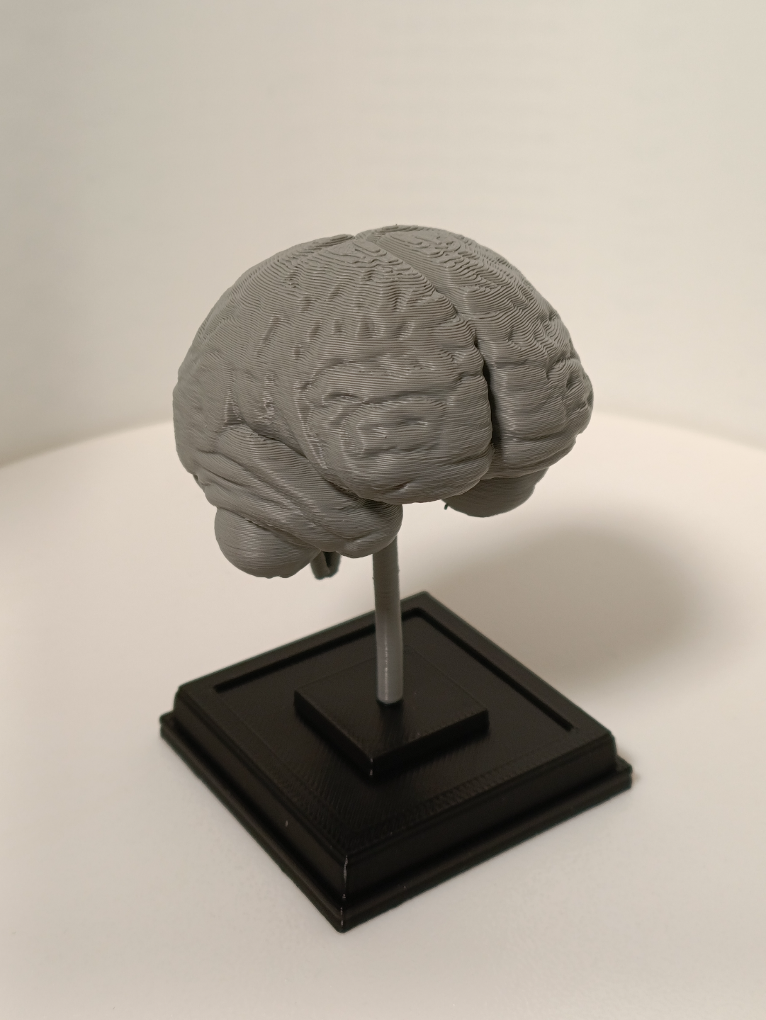 Brain on a stand