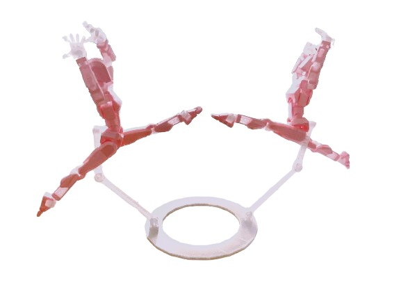 Double Dummy 13 Display Stand