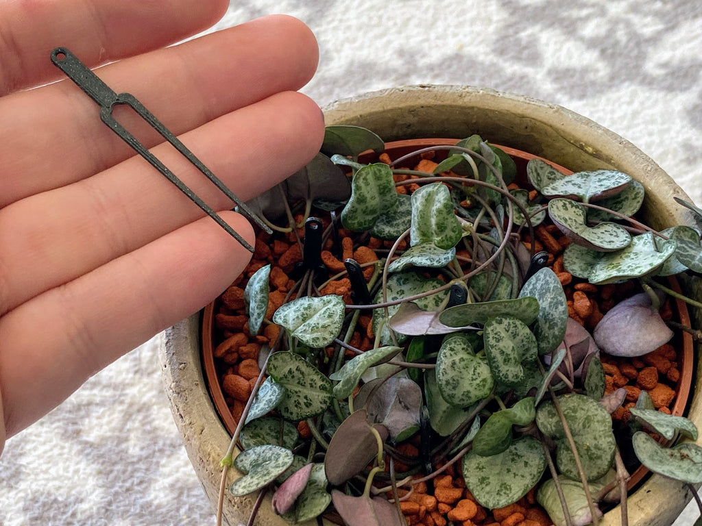 Plant Pin Pro