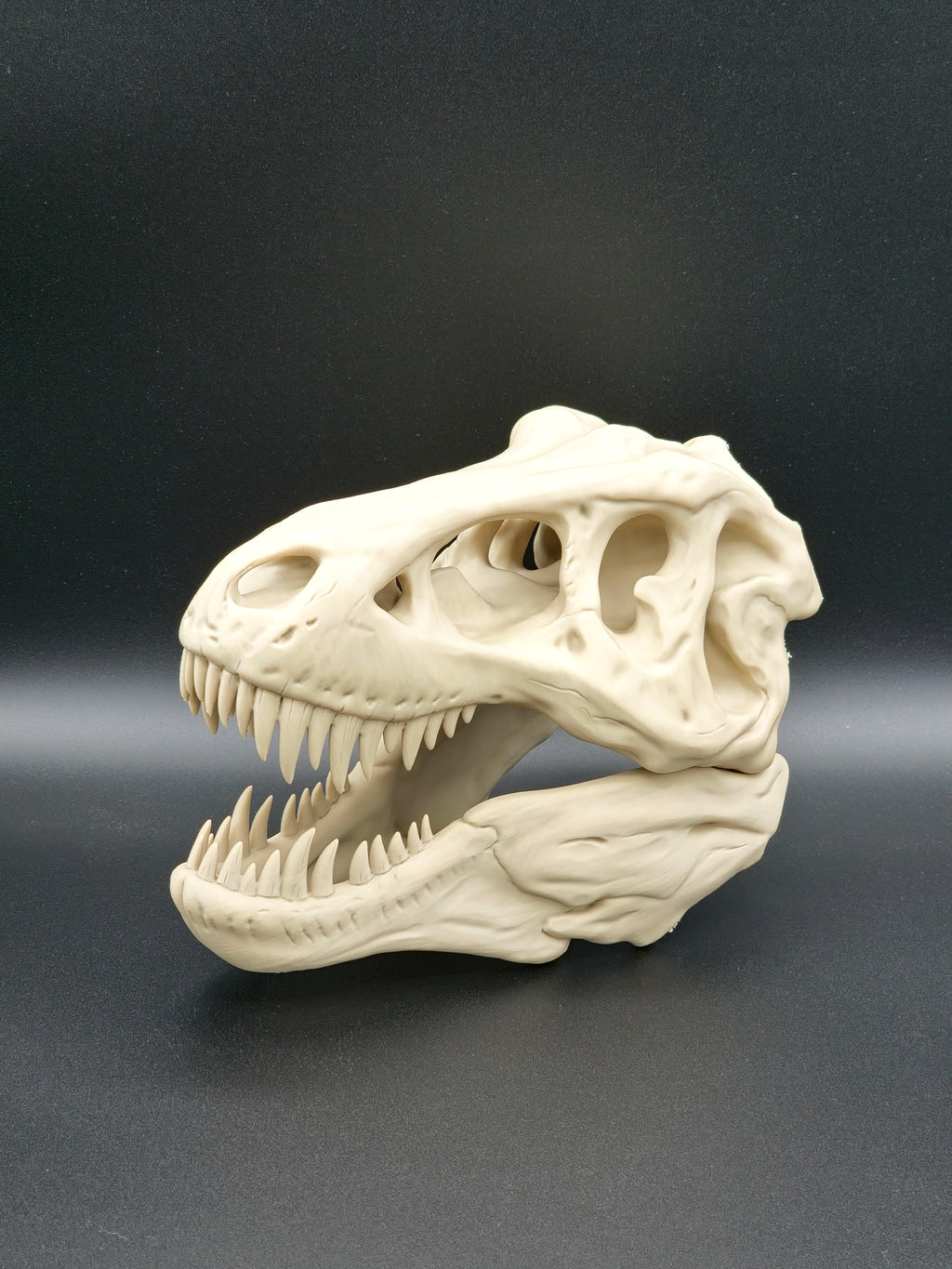 T-Rex Skull