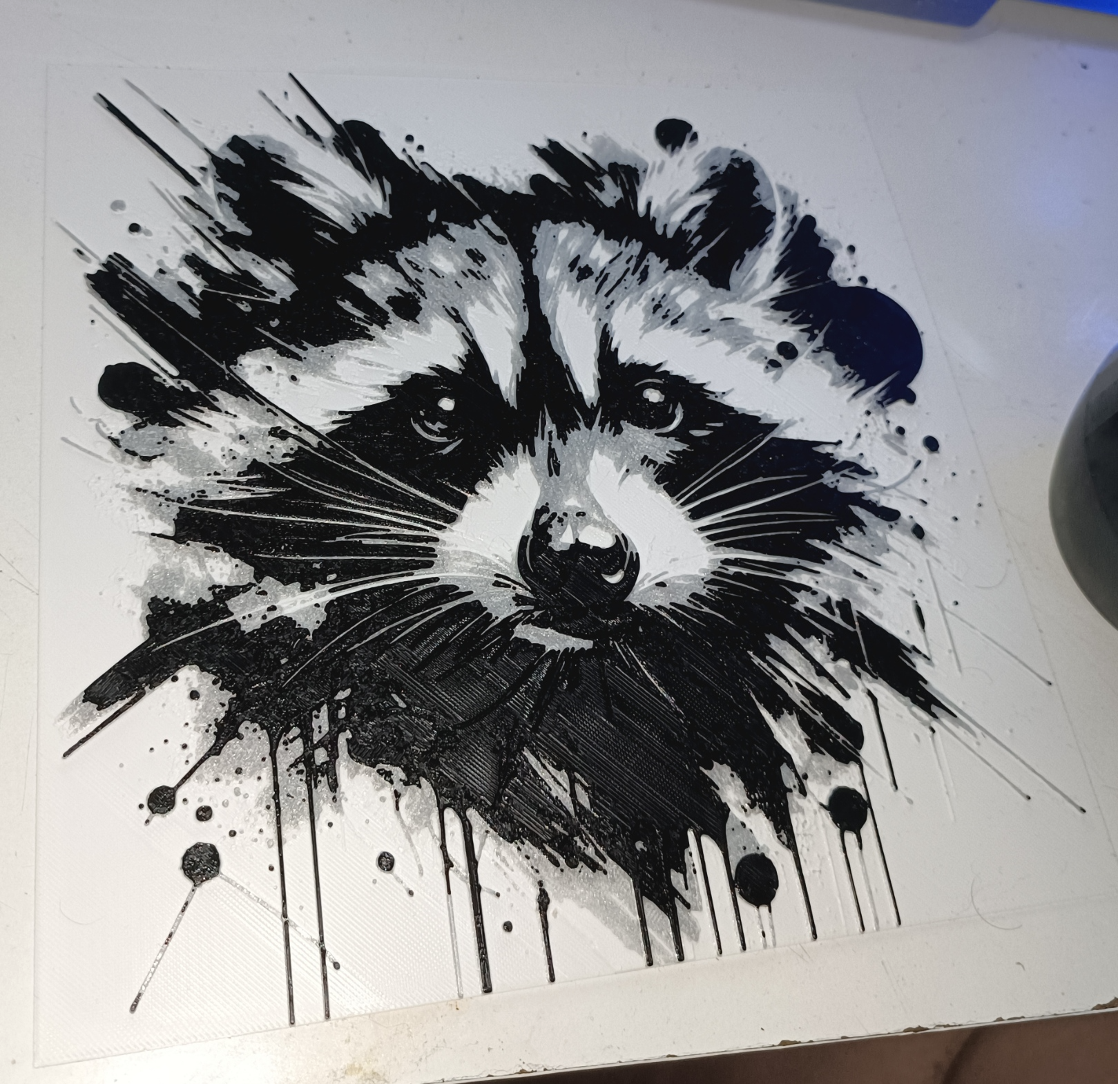 HueForge - Racoon