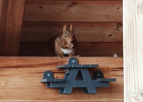 Picnic Table Squirrel Feeder
