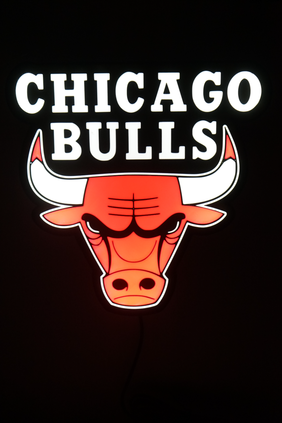 Chicago Bulls Logo