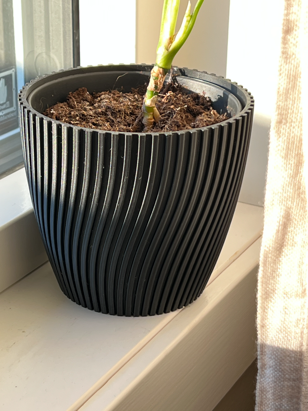 Parametric ribbed flower pot
