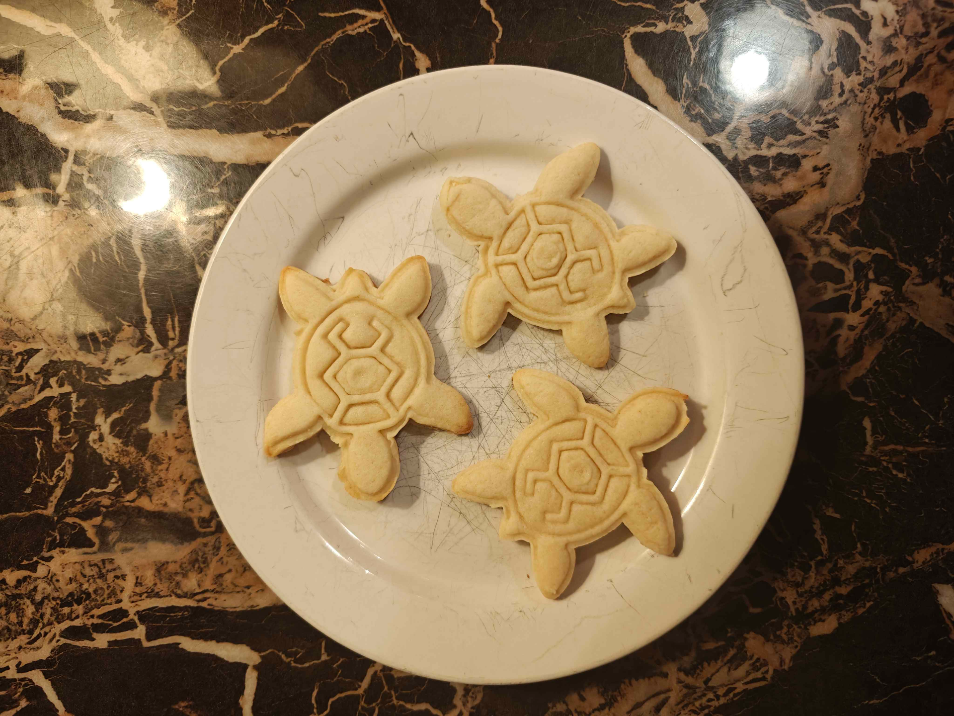 Sea Turtle Cookie Cutter and Stamp