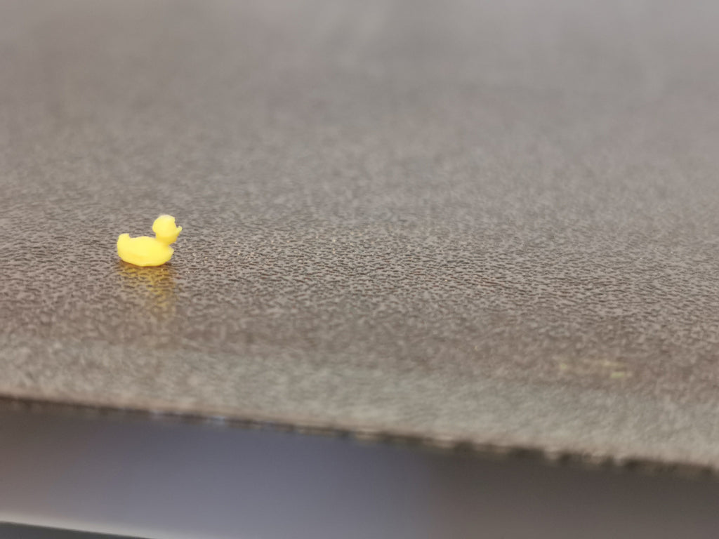 Tiny Duck
