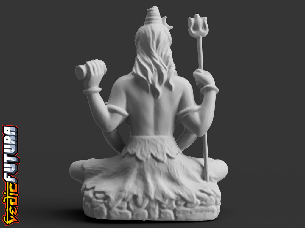 Shiva in Meditation on Tiger Skin