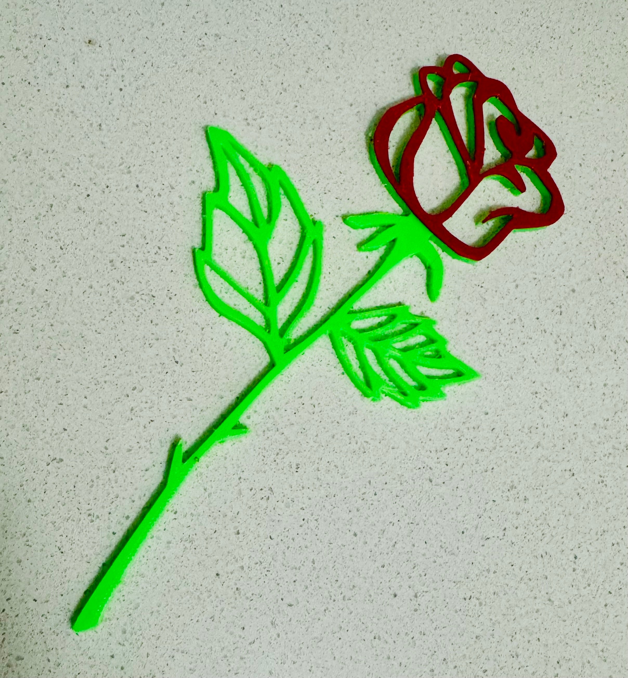 Simple multi coloured rose