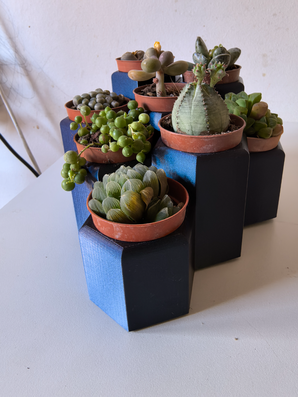 SUCCULENT PALNT POT