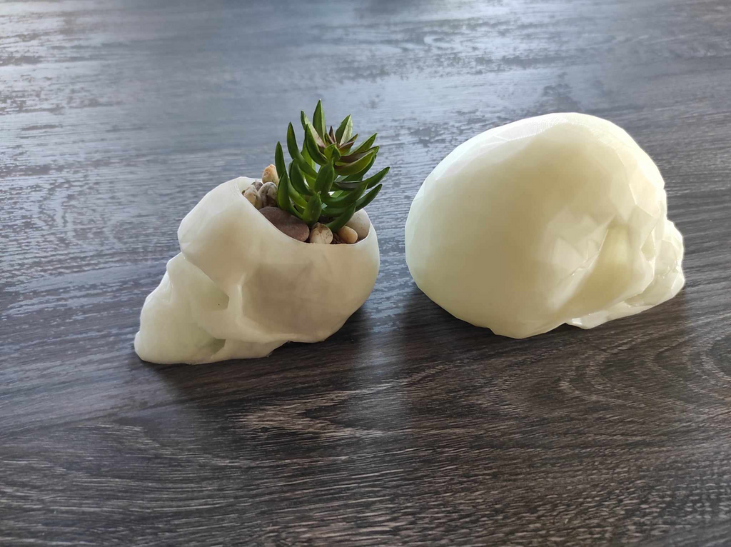 Low Poly Skull Planter