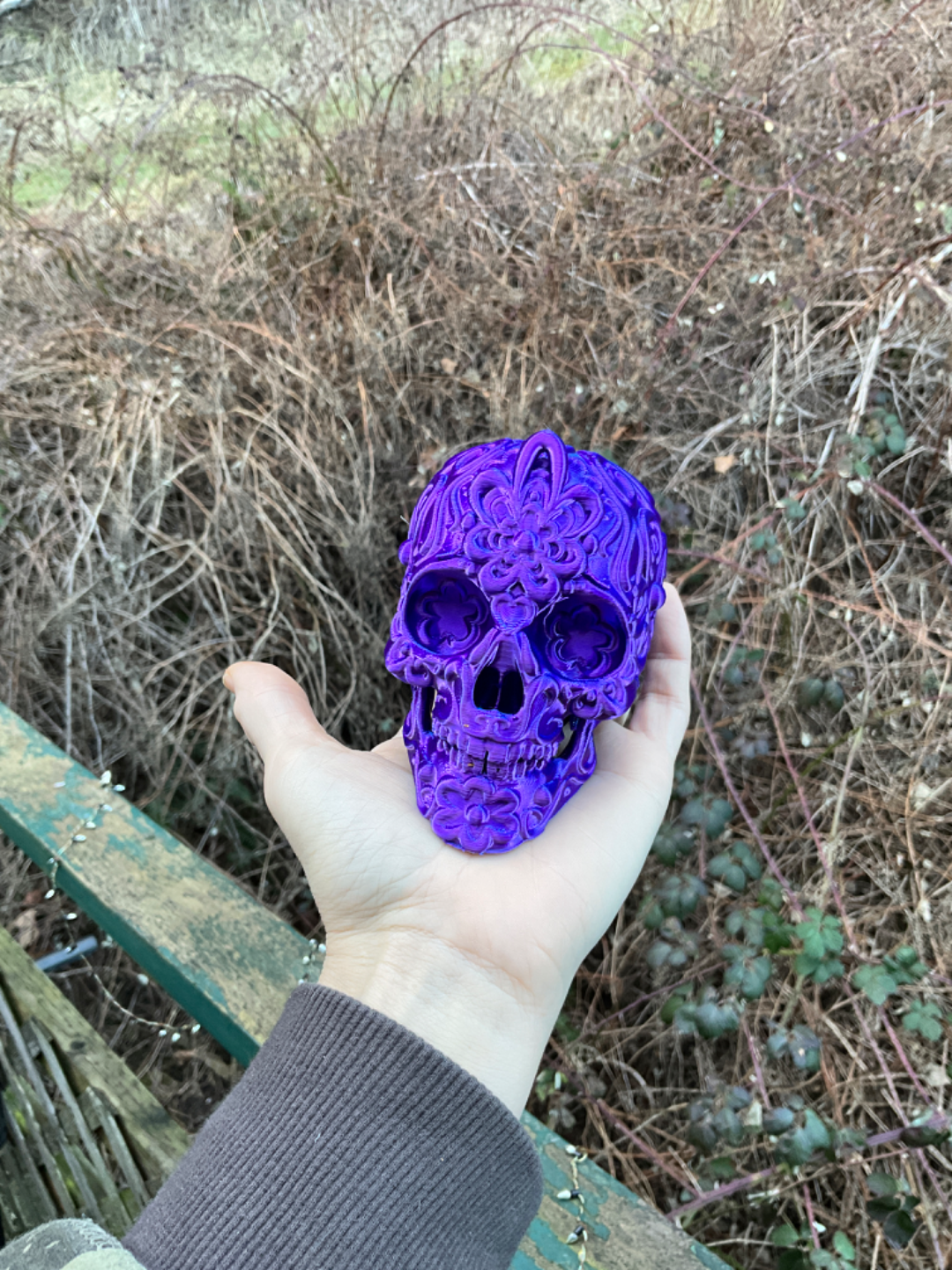 Sugar Skull multi color painted compatible