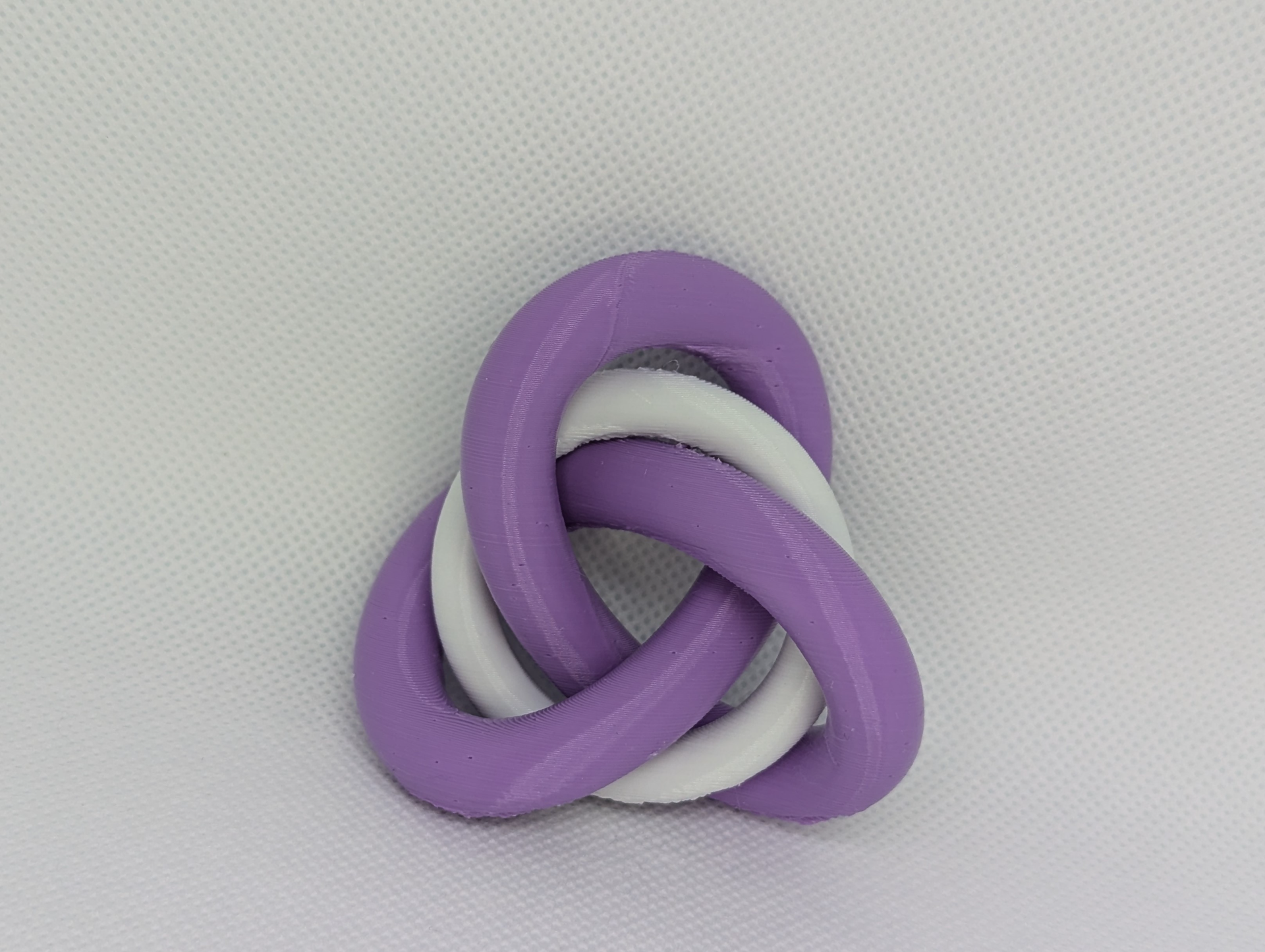 Trefoil Knot with Torus