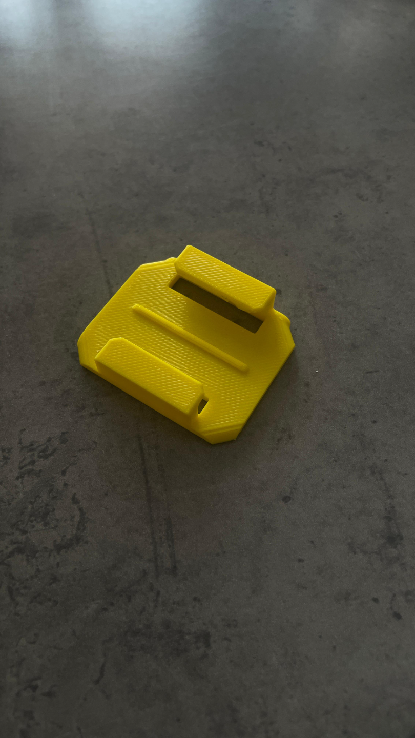GoPro Mount